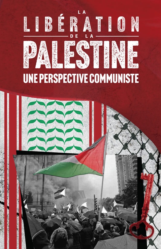 La libération de la Palestine : Une perspective communiste