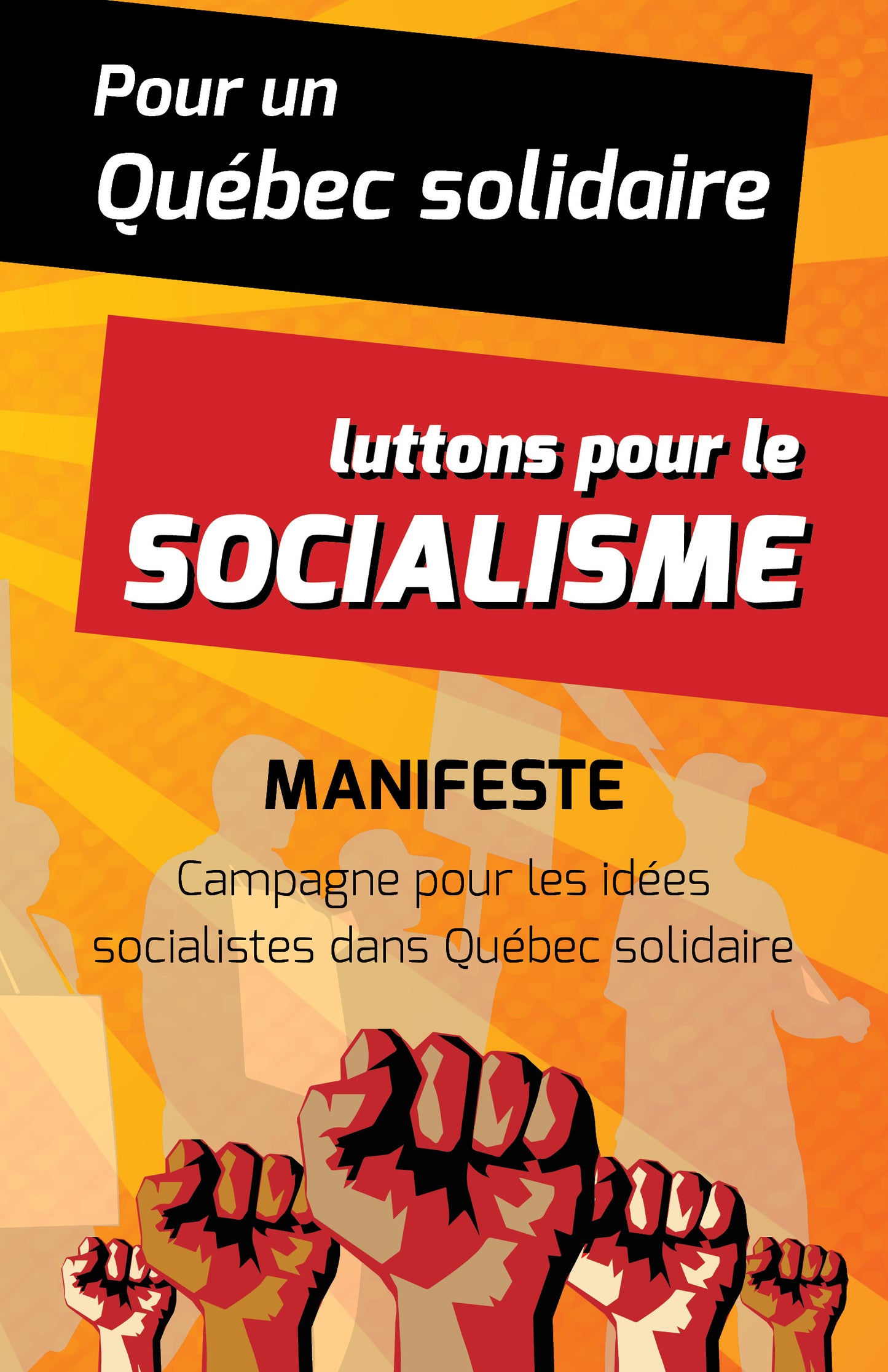 Pour un Québec solidaire, luttons pour le socialisme (PDF GRATUIT)